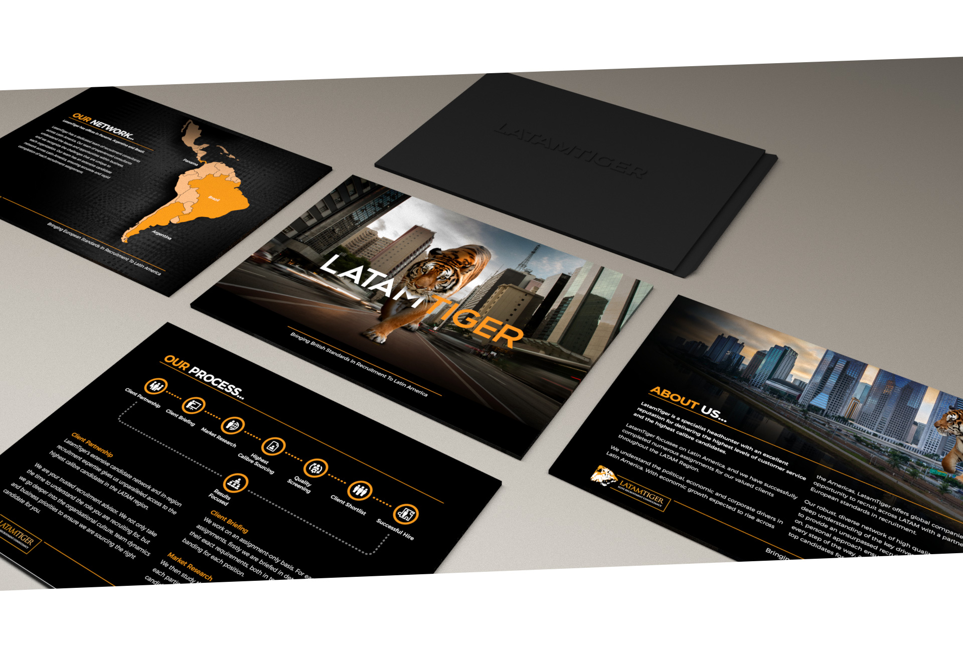 Brochure Design LatamTiger